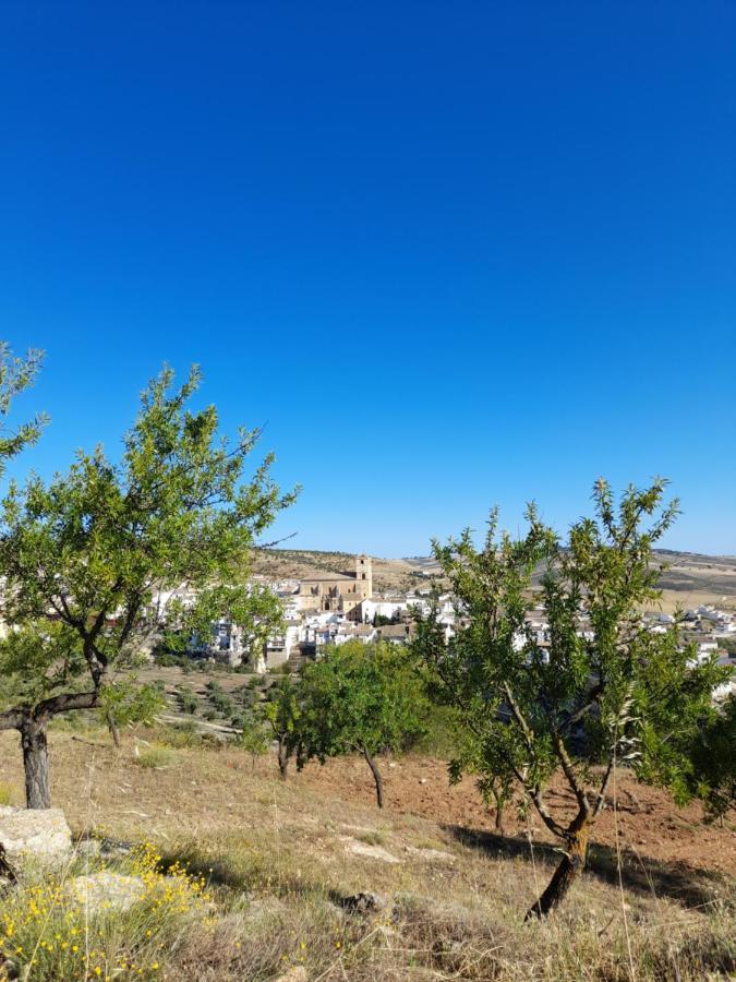 La Casita De Papel Alhama De Granada Villa Eksteriør billede
